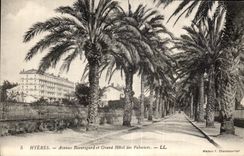 CPA Hyeres Avenue Beaugard et Grand Hotel des Palmiers