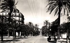 CPA LE Littoral Mediterraneen Hyeres les Palmiers Avenue Gambetta