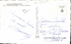 CPA LE Littoral Mediterraneen Hyeres les Palmiers Avenue Gambetta