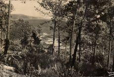 CPA the Dimension Cavalaire Azure on Sea Good Perlo