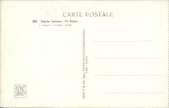 CPA Fontaine Lumineuse Le Cactus