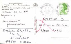 MODERN CARMartinique the Blazing countryside in flowers yellow and reds