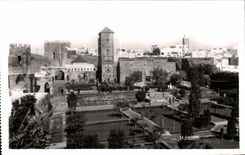 CPA Maroc Rabat Jardin des Oudaias