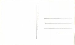 CPA Morocco Three Friends Ass Donkey