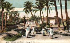 CPA Morocco Scenes and Standard Landscapes of the South Ass Donkey