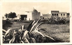 CPA Morocco Settat Marabout of sidi Bou Abib