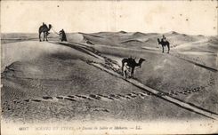 CPA Morocco Scenes And Standard Sand Dunes and Mehara Camel Camel