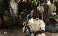 CPSM Morocco Scenes And Standard Snake charmer