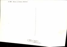 Blatten in Lotschen Rothorner