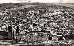 CPA Maroc Fes Vue Panoramique de la Medina