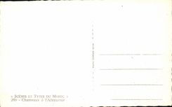 CPA Morocco Scenes and Standards of Morocco Chameaux has Abreuvoir Camel Chameau