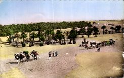 CPA Morocco Scenes and Standards of of Morocco a Caravan