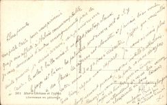 CPA Morocco (Scenes and Standards) Camels in Camel pasture