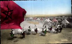 CPSM Morocco Scenes and Standard Fantasia Horse Horse