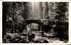 Gerardmer the Bridge of the Fairies