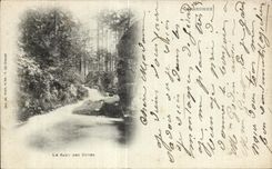 CPAGerardmer the jump of the cellars