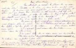 CPA Bains Les Bains Allee of the Fir trees in avoids