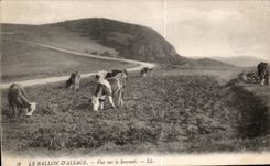 CPA the Balloon Alsace Seen on the Summit Cows