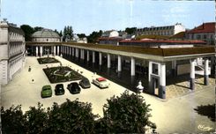 CPA Contrexeville (the Vosges) Mineral-water Establishment