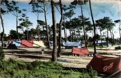 CPA Cayeux (Somme) Campers in the Wood of Molliere