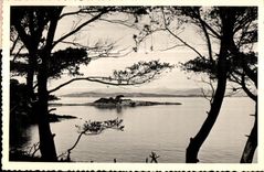 Ile de Porquerolles - Pointe Prime - CPA 