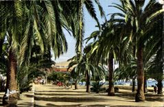 Bandol - Allees Alfred Vivien - CPA