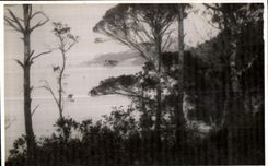 Island of Porquerolles - View - CPA