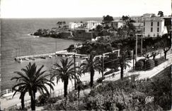 Agay - Le Port et les Villas - CPA 