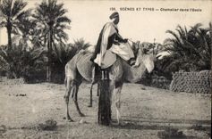 CPA Morocco Scenes And Standard Camel driver in Oasis Camel Camel
