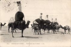 CPA Morocco Seines And Standard Reef tackles daus the desert Camel Camel