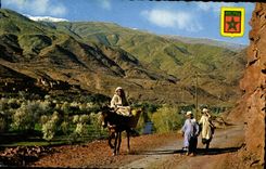 CPA Maroc Marrakech Vallee dans I Atlas 