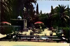 CPA Transatlantic Tlemcen Hotel the Garden