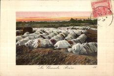 CPA Morocco the Great Prayer Moslem