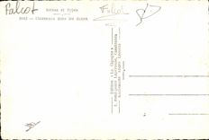 CPA Morocco Scenes and Standard Charneaux in the dunes Camel Camel