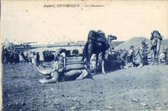 CPA Picturesque Morocco Morocco the Camels Camel Camel
