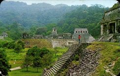 CPA Mexique Mexique Vista Palenque desde Templo del Conde Palenque as seen fron the Count Temple Palenque Chis Mexico 