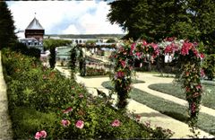 Jordin de CPA Laval Mayenne del perinne del rosery