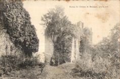 Ruinas de CPA del castillo de Laval cercano montjean