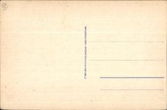 CPA Langres Vue Vers la Cathedrale