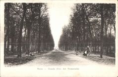 Reims Large Allied of the Walks