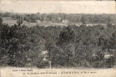 CPA St jean de monts (Vendee) A I oree de la foret au loin le matass