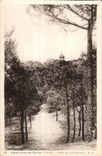 CPA Saint Jean de Monts (Vendee) Allee de la Chapellenie
