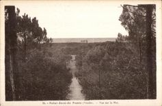 CPA Saint Jean de Monts (Vendee) Vue sur la Mer