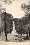 CPA St Jean de Monts (Vendee) Une route dans la Foret