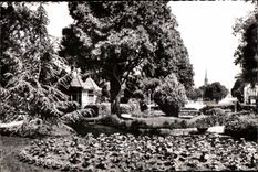 CPSM Chattellerault Le jardin public