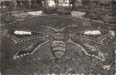 CPSM Avranches (Manche) Le Jardin des Plantes Le Papillon Butterfly