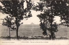 CPA Avranches Vue sur la Baie du Mont St Michel