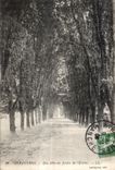 CPA Avranches Une Allee du Jardin de I Eveche