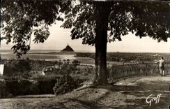 CPSM En normandie 503-7 Avranches (manche) la baie du mont saint michel vue du jardin des plantes 