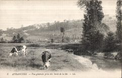 CPA Avranches vue generale prise des bords de la See Vaches